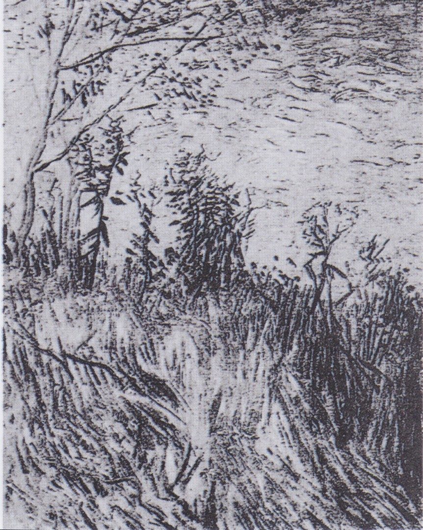 Van Gogh - Rand eines Weizenfeldes mit Mohnblumen