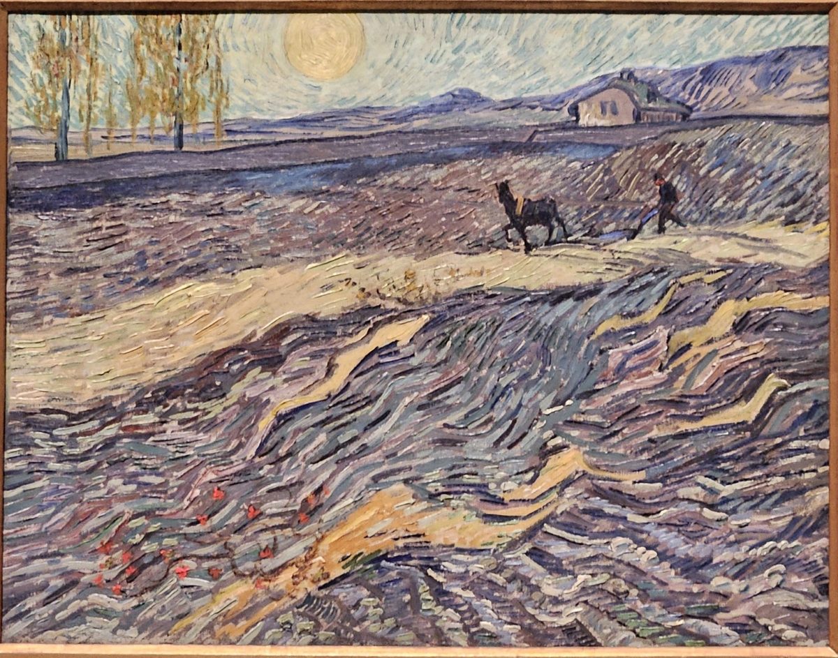 Enclosed Field with Ploughman, 1889, Van Gogh, NG 01