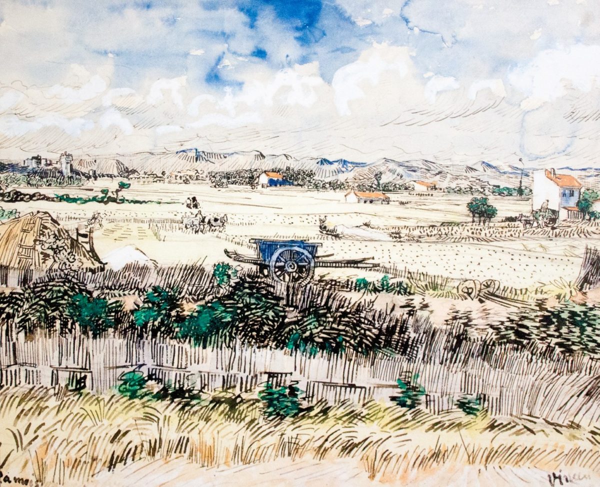 Harvest Landscape - My Dream