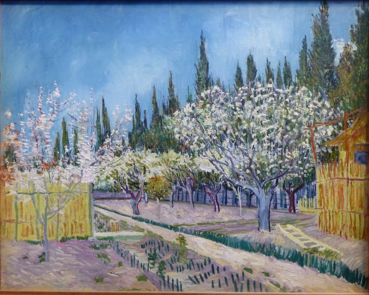 Verger bord#U00e9 de cypr#U00e9s,Arles1888,huile sur toile,mus#U00e9e Kr#U00f6ller-M#U00fcller Otterlo