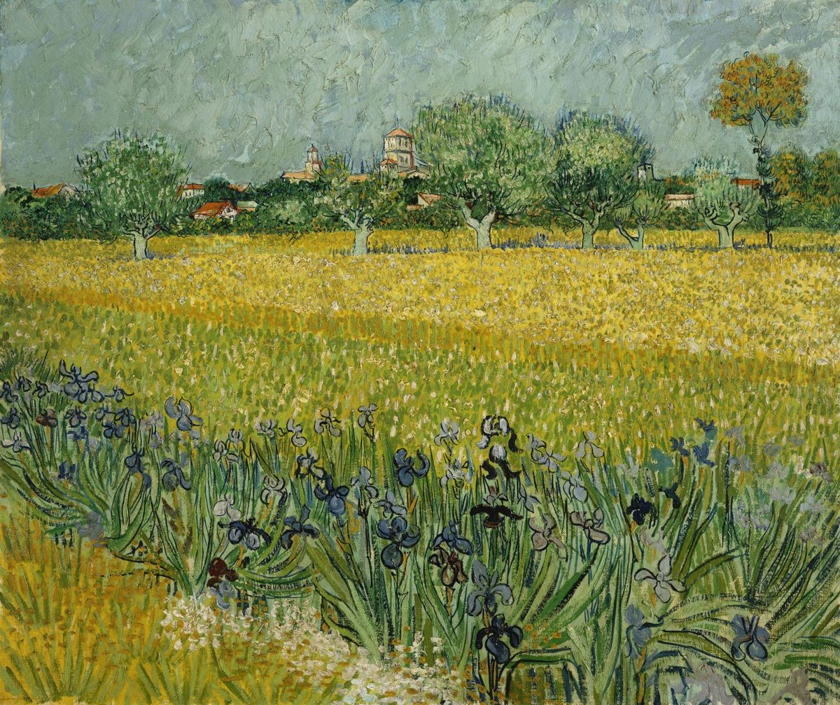 Vincent van Gogh - Veld met bloemen bij Arles - Google Art Project
