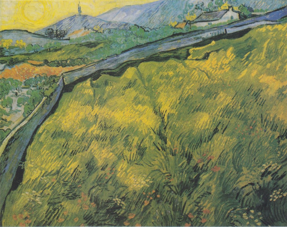 Van Gogh - Saatfeld bei Sonnenaufgang