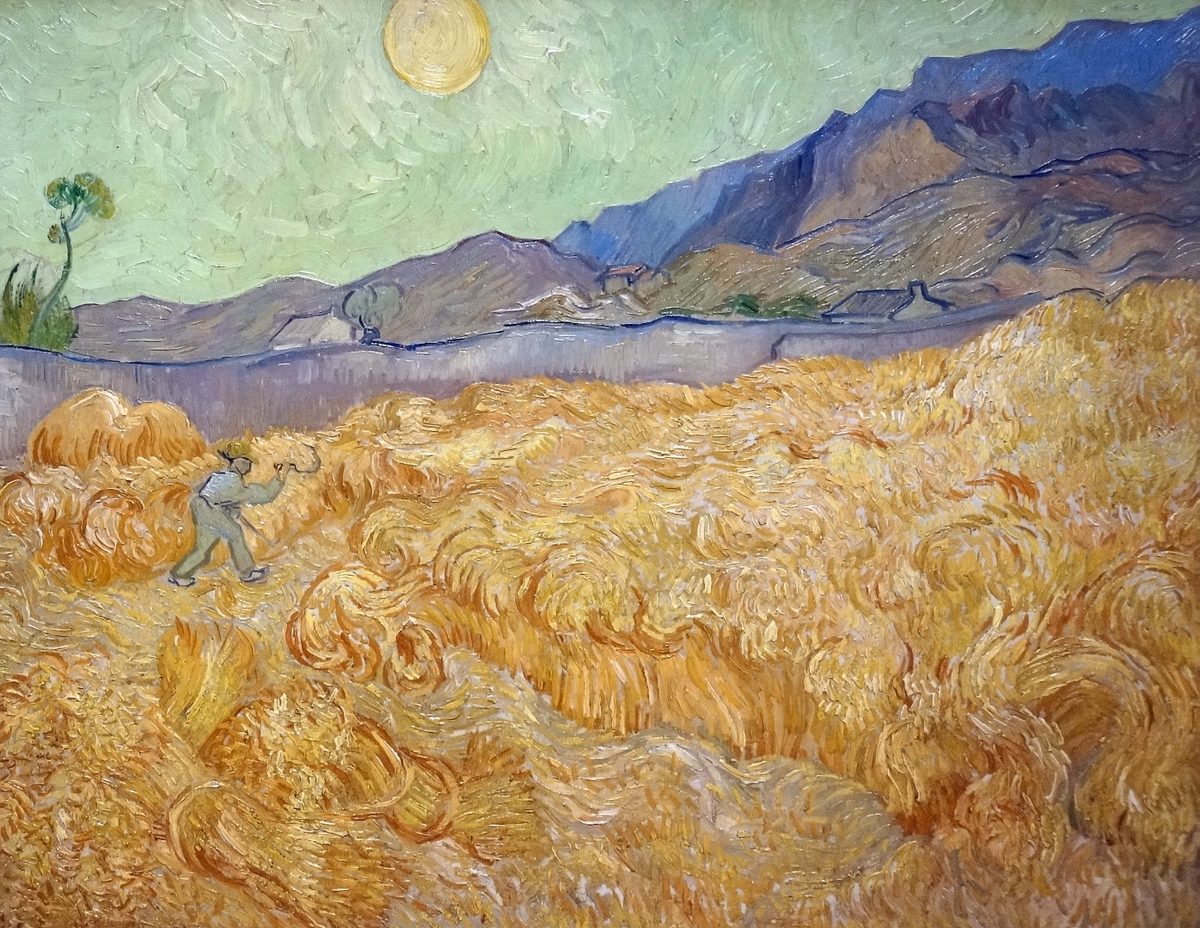 Netherlands-4020 - Wheatfield (11612272823)