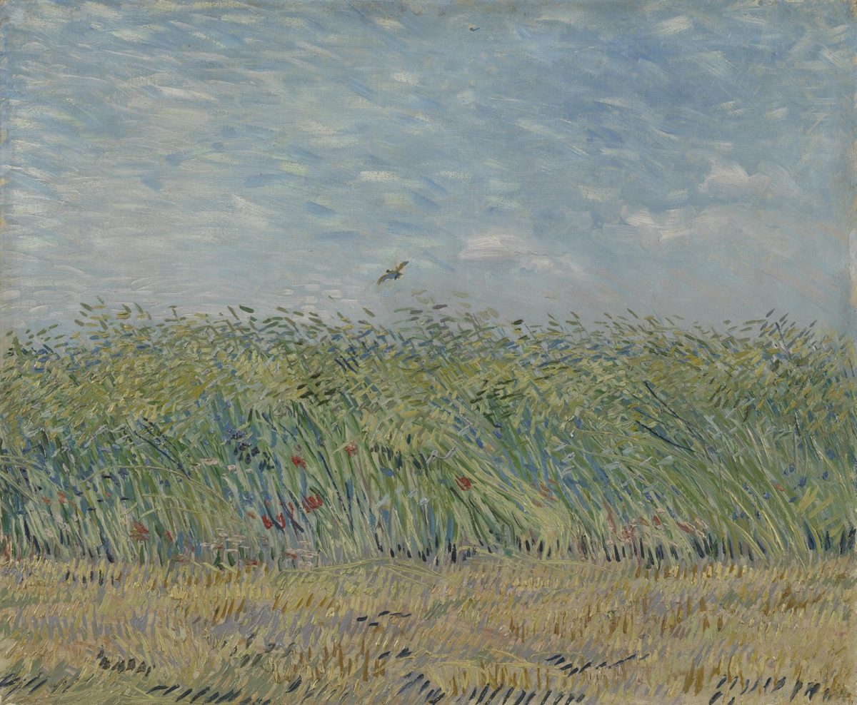 Korenveld met patrijs - s0197V1962 - Van Gogh Museum