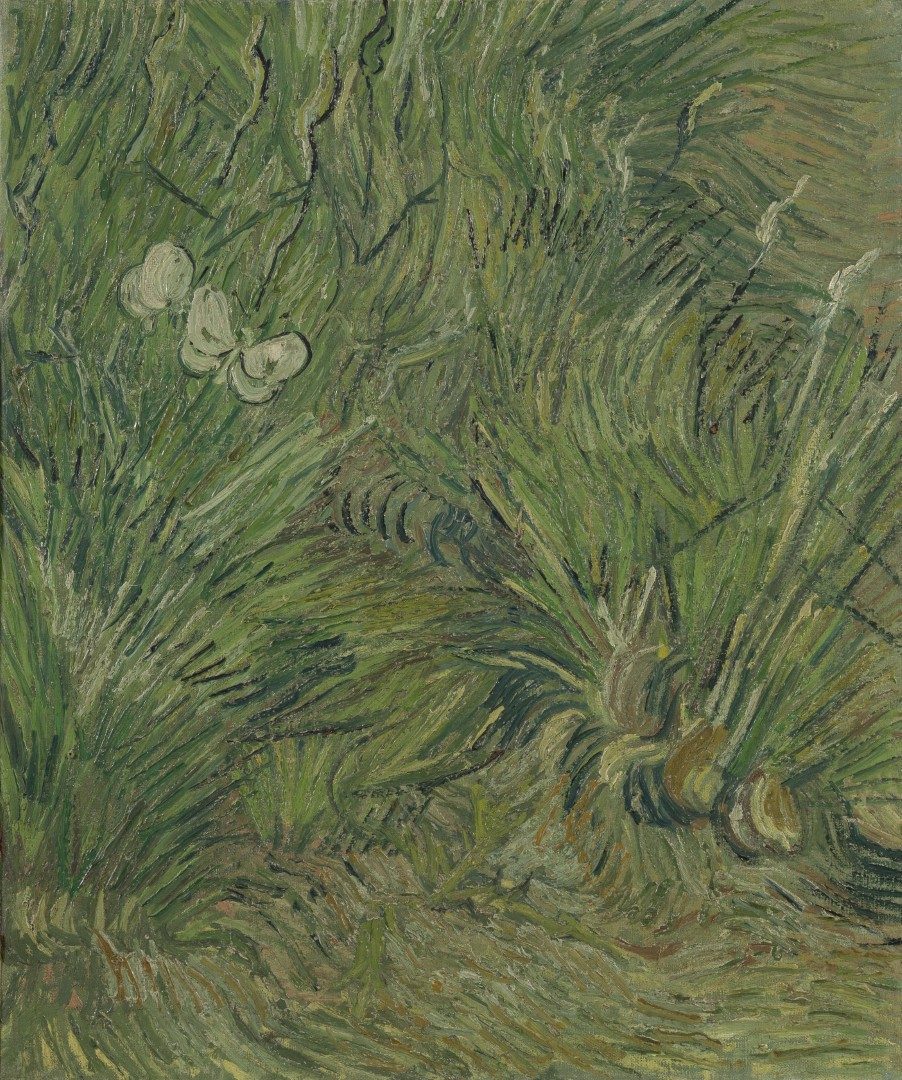 Tuin met vlinders - s0110V1962 - Van Gogh Museum