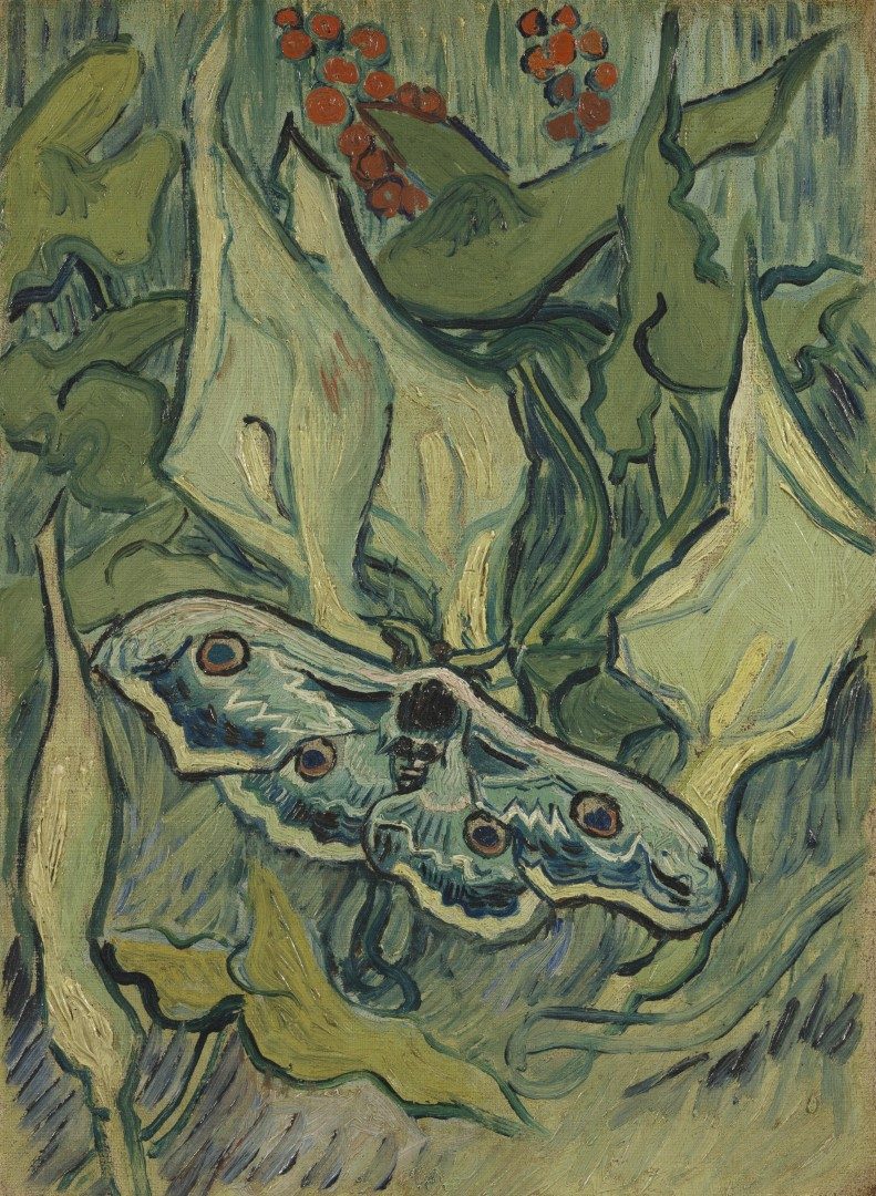 Grote nachtpauwoog - s0189V1962 - Van Gogh Museum