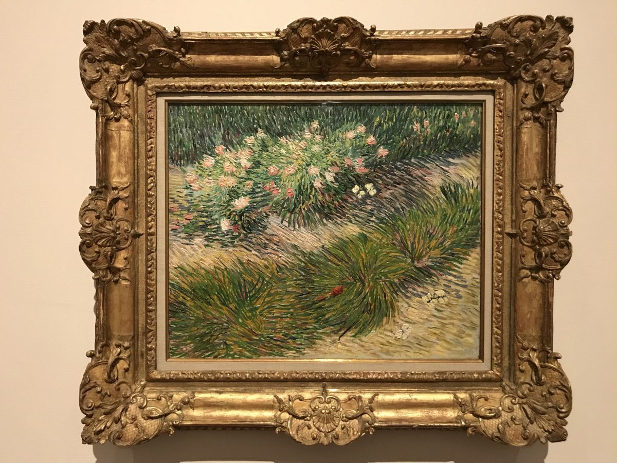 Vincent van Gogh - Gras met vlinders (Van Gogh & Japan)
