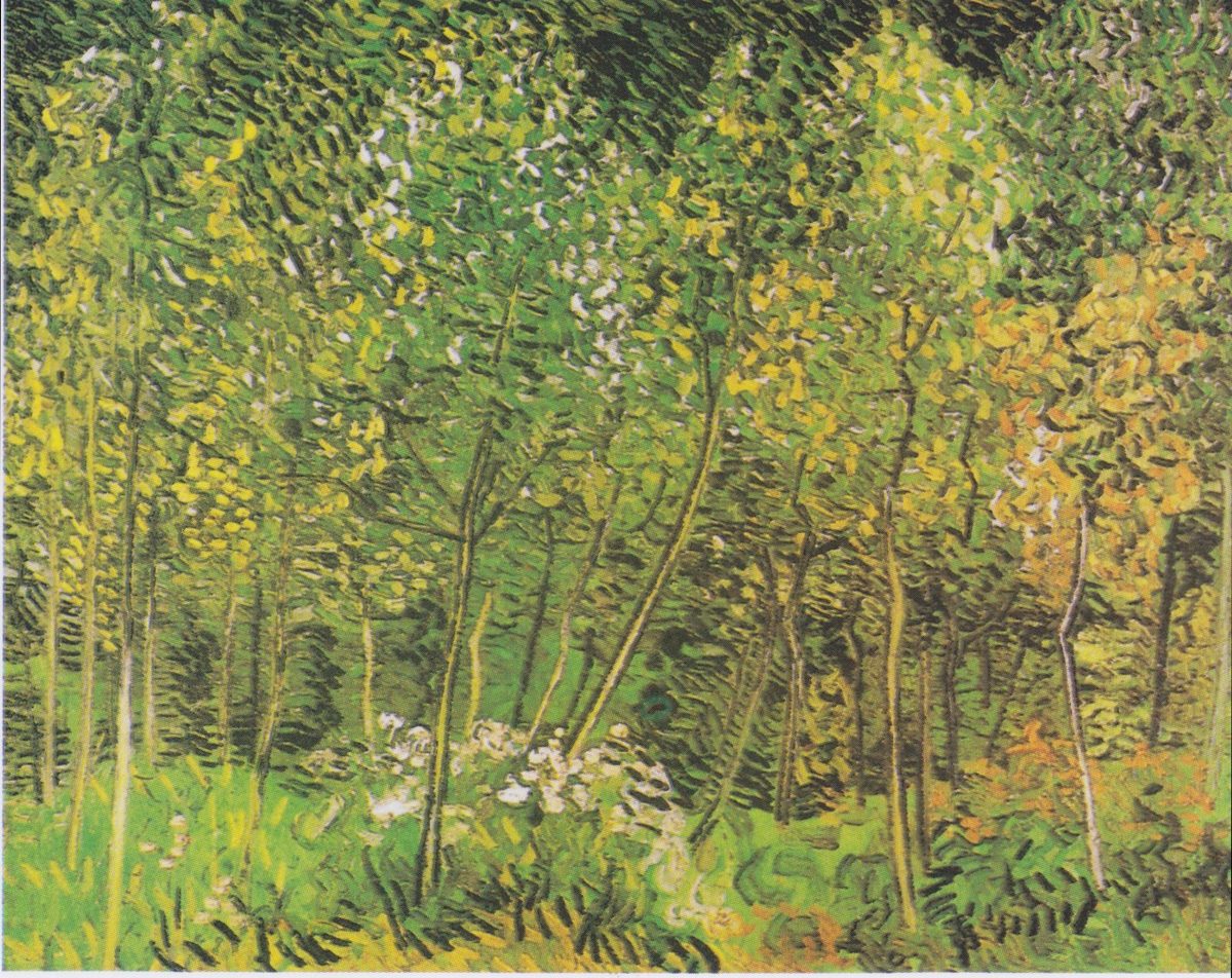 Van Gogh - W#U00e4ldchen