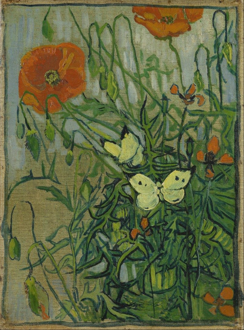 Vincent van Gogh - Butterflies and poppies - Google Art Project