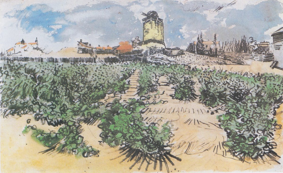 Van Gogh - Die M#U00fchle von Alphonse Daudet in Fontevieille