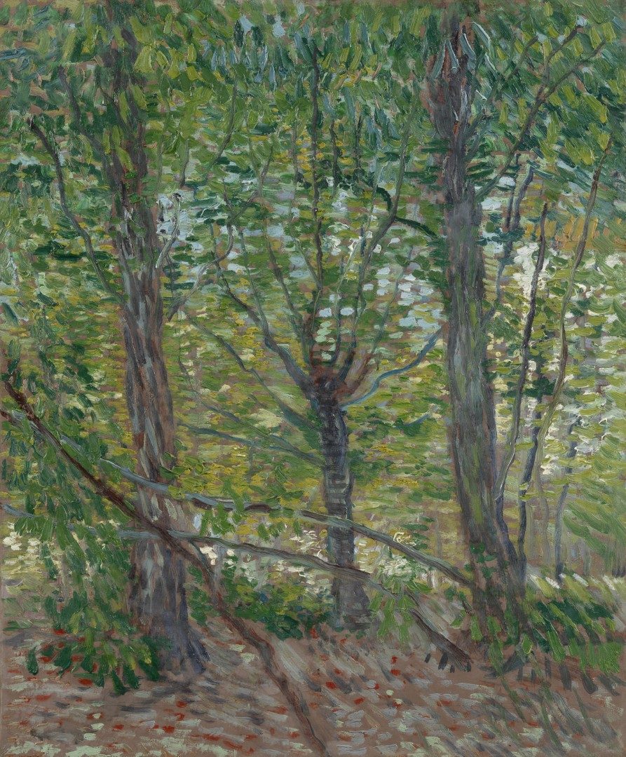 Bomen - s0078V1962 - Van Gogh Museum