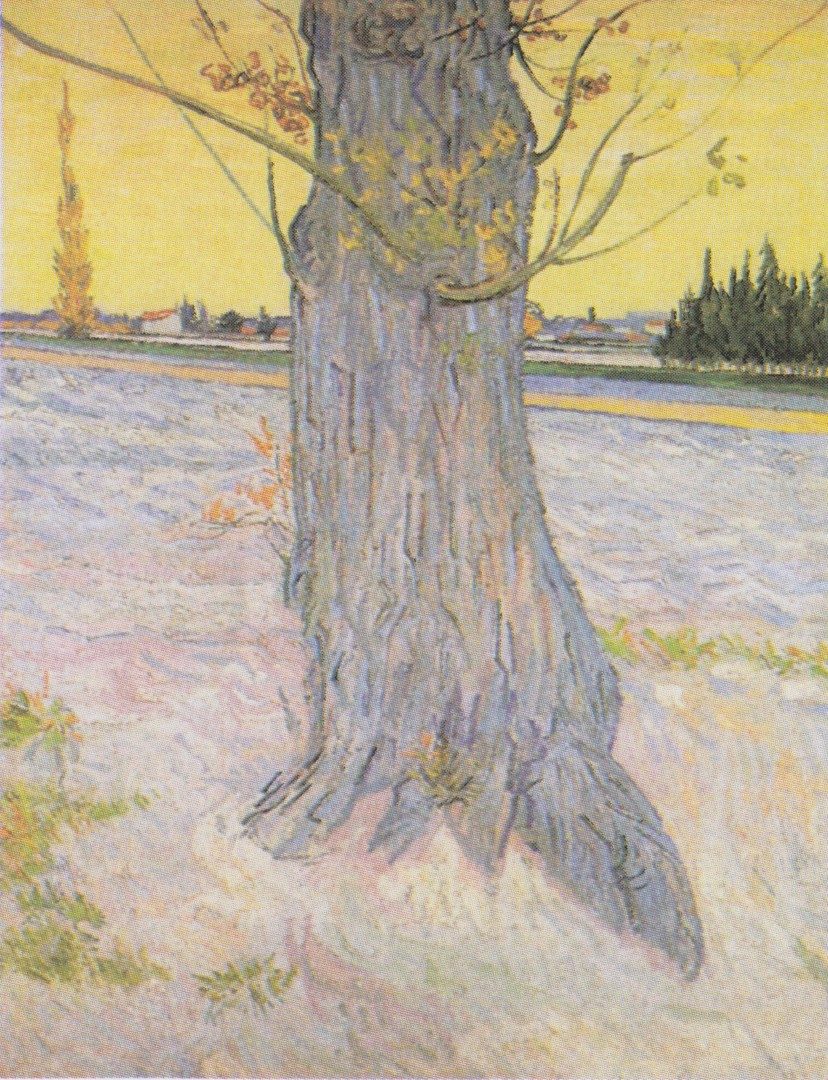 Van Gogh - Stamm einer alten Eibe