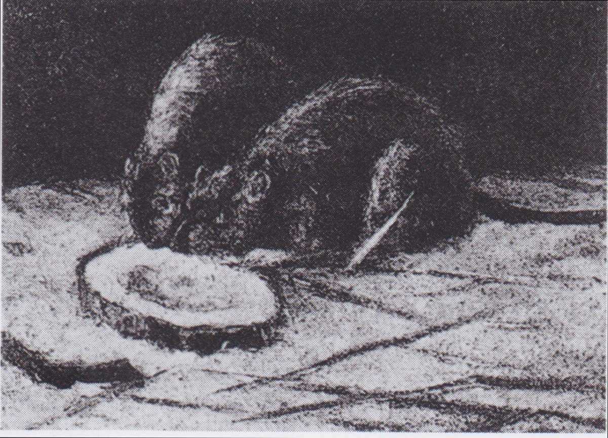 Van Gogh - Zwei Ratten
