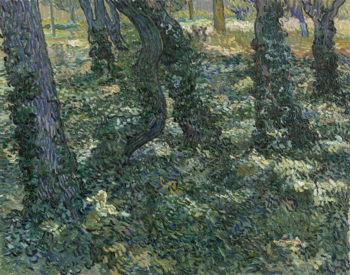 Kreupelhout - s0051V1962 - Van Gogh Museum
