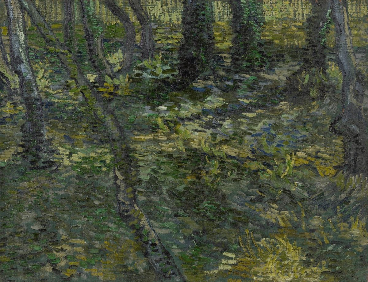 Kreupelhout - s0111V1962 - Van Gogh Museum