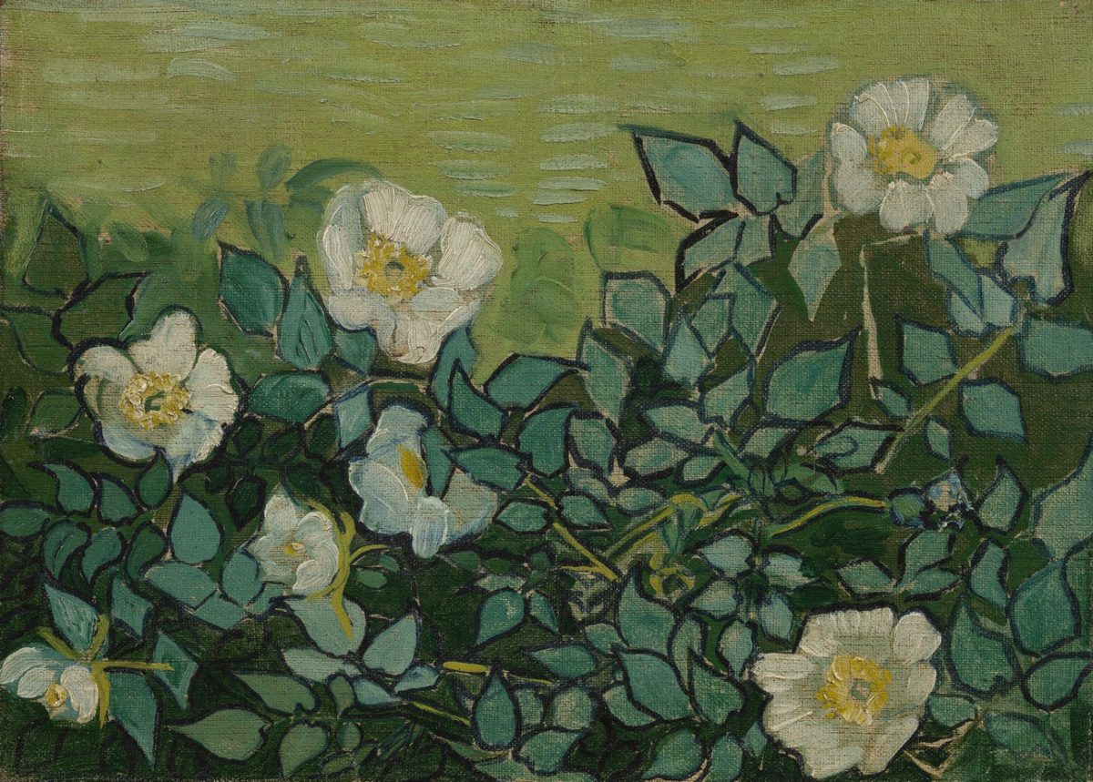 Wilde rozen - s0190V1962 - Van Gogh Museum