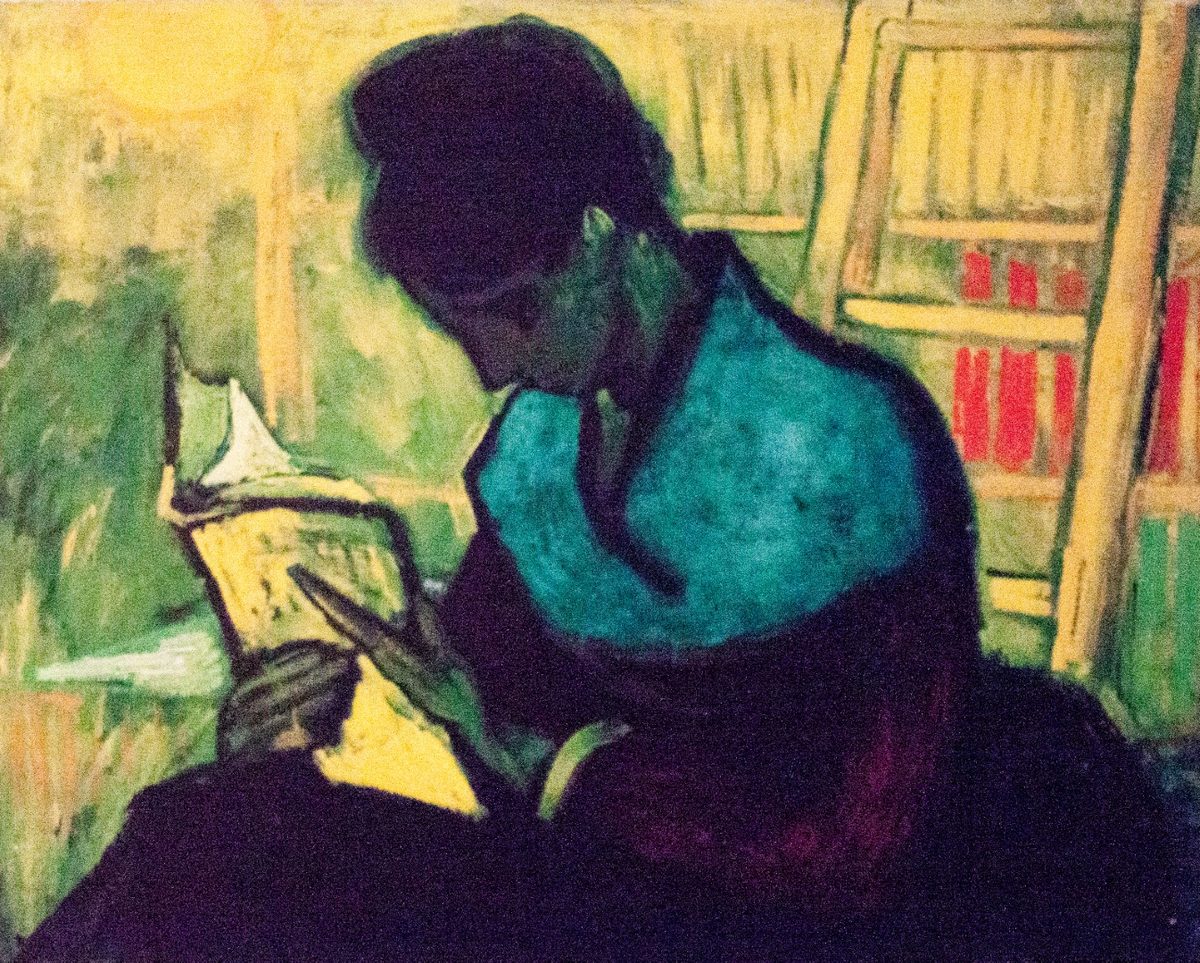 The Novel Reader