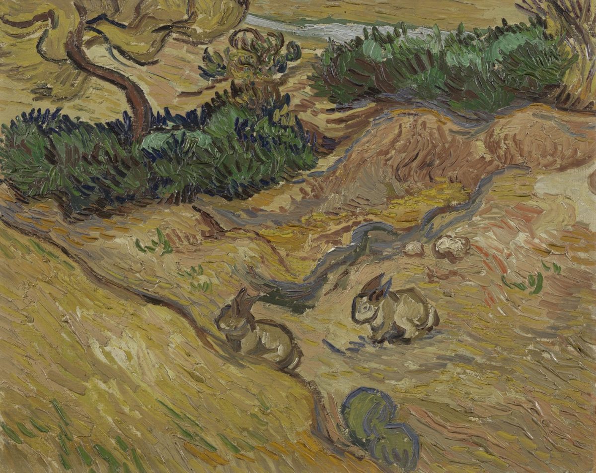Landschap met konijnen - s0099V1962 - Van Gogh Museum