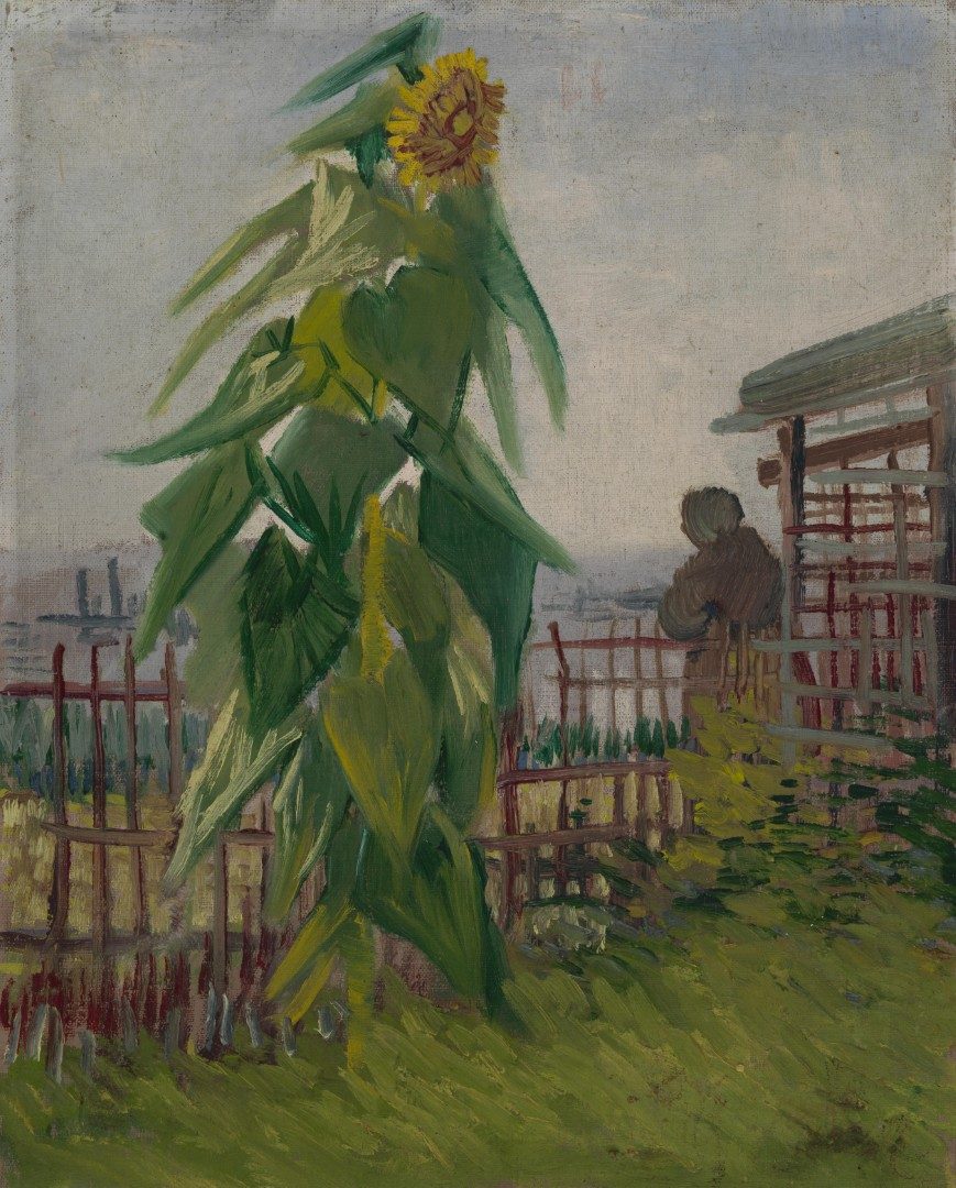Moestuin met zonnebloem - s0004V1962v - Van Gogh Museum
