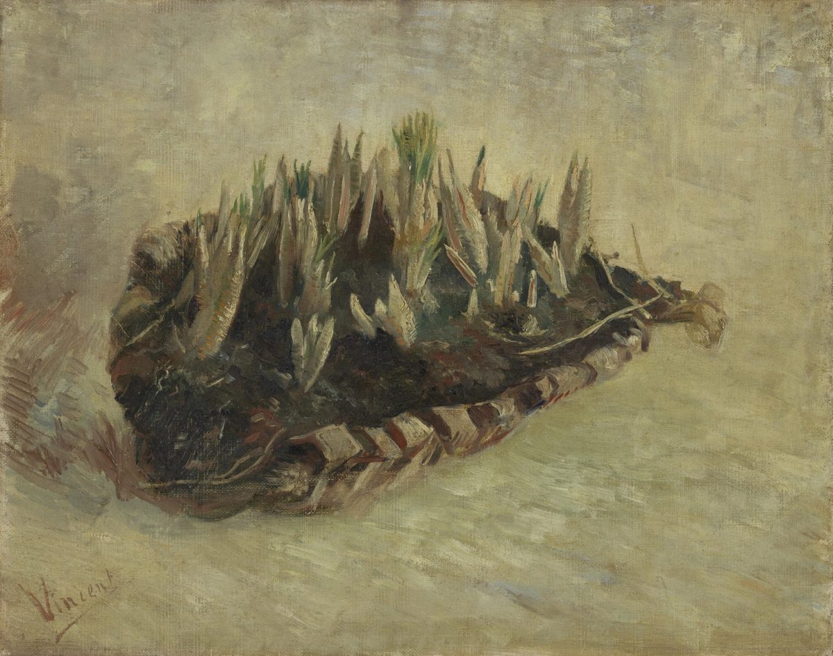 Mand met krokusbollen - s0179V1962 - Van Gogh Museum