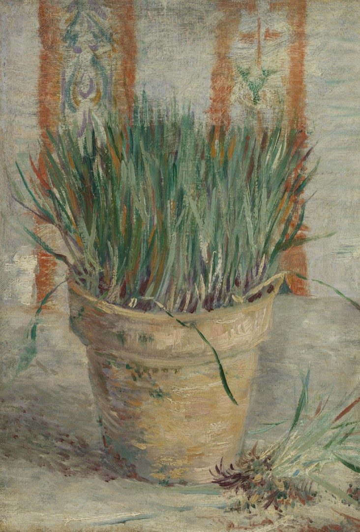 Bloempot met Chinese bieslook - s0183V1962 - Van Gogh Museum