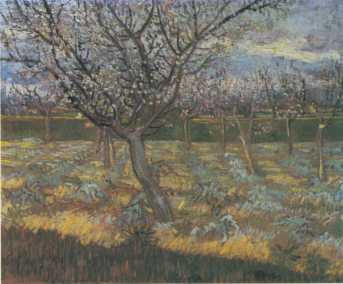 Van Gogh - Bl#U00fchender Obstgarten mit Aprikosenb#U00e4umen1