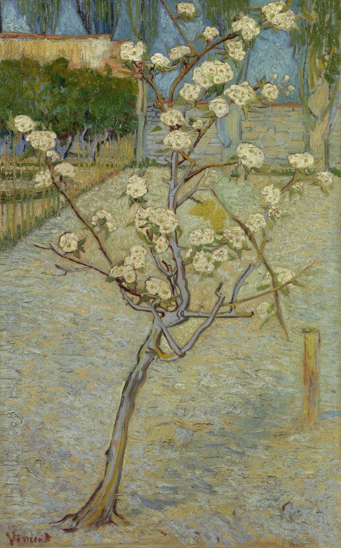 Perenboompje in bloei - s0039V1962 - Van Gogh Museum