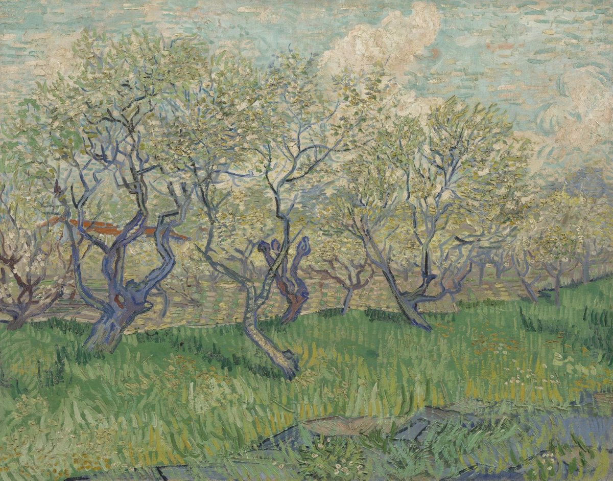 Bloeiende boomgaard - s0038V1962 - Van Gogh Museum