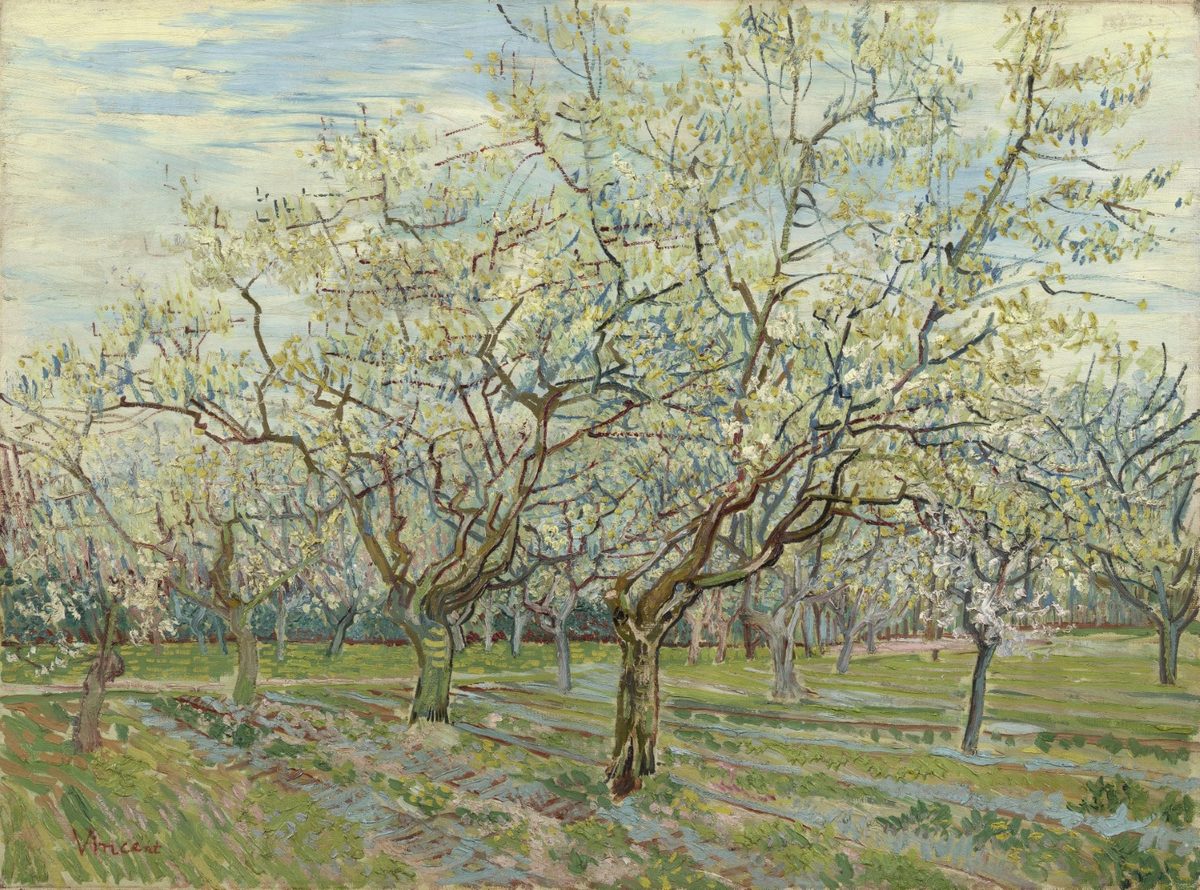 De witte boomgaard - s0024V1962 - Van Gogh Museum