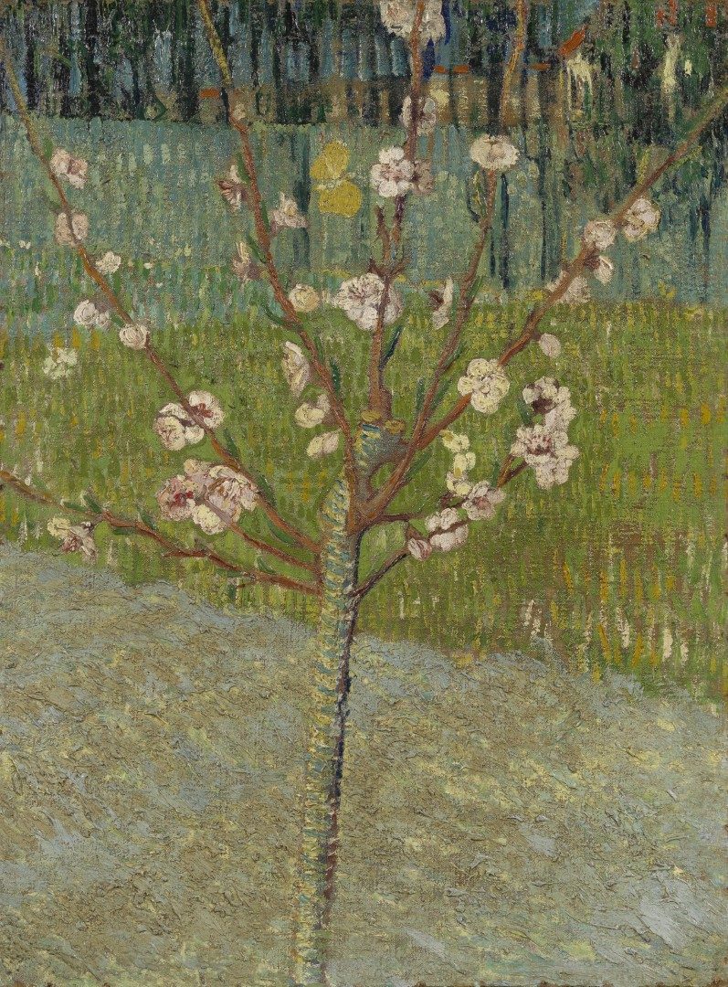 Bloeiende perzikboom - s0035V1962 - Van Gogh Museum