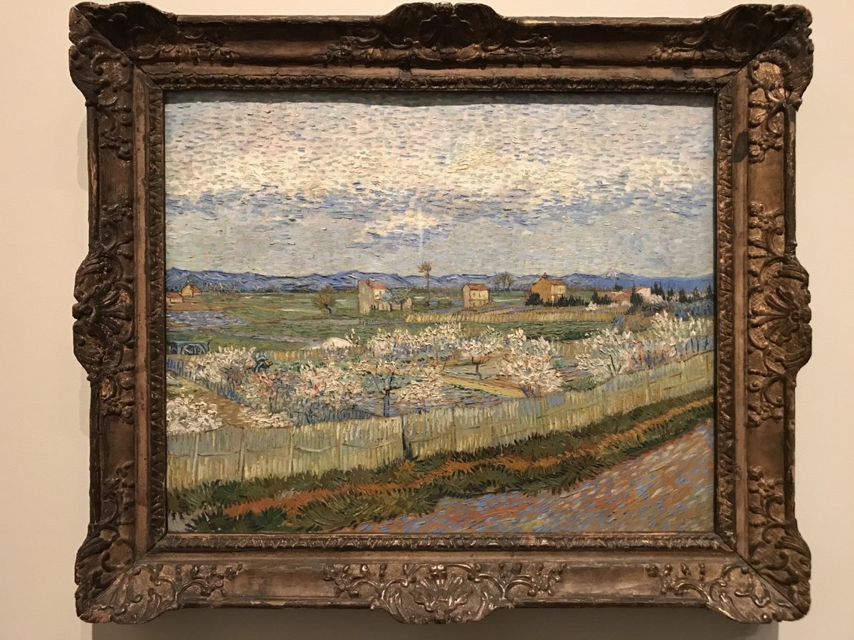 Vincent van Gogh - La Crau met bloeiende perzikbomen (Van Gogh & Japan)