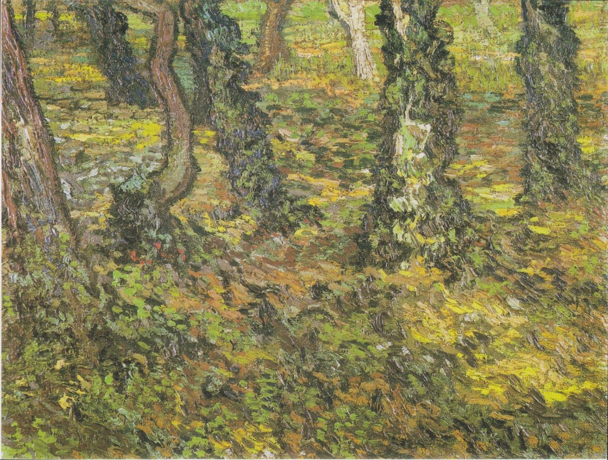 Van Gogh - Unterholz mit Efeu2