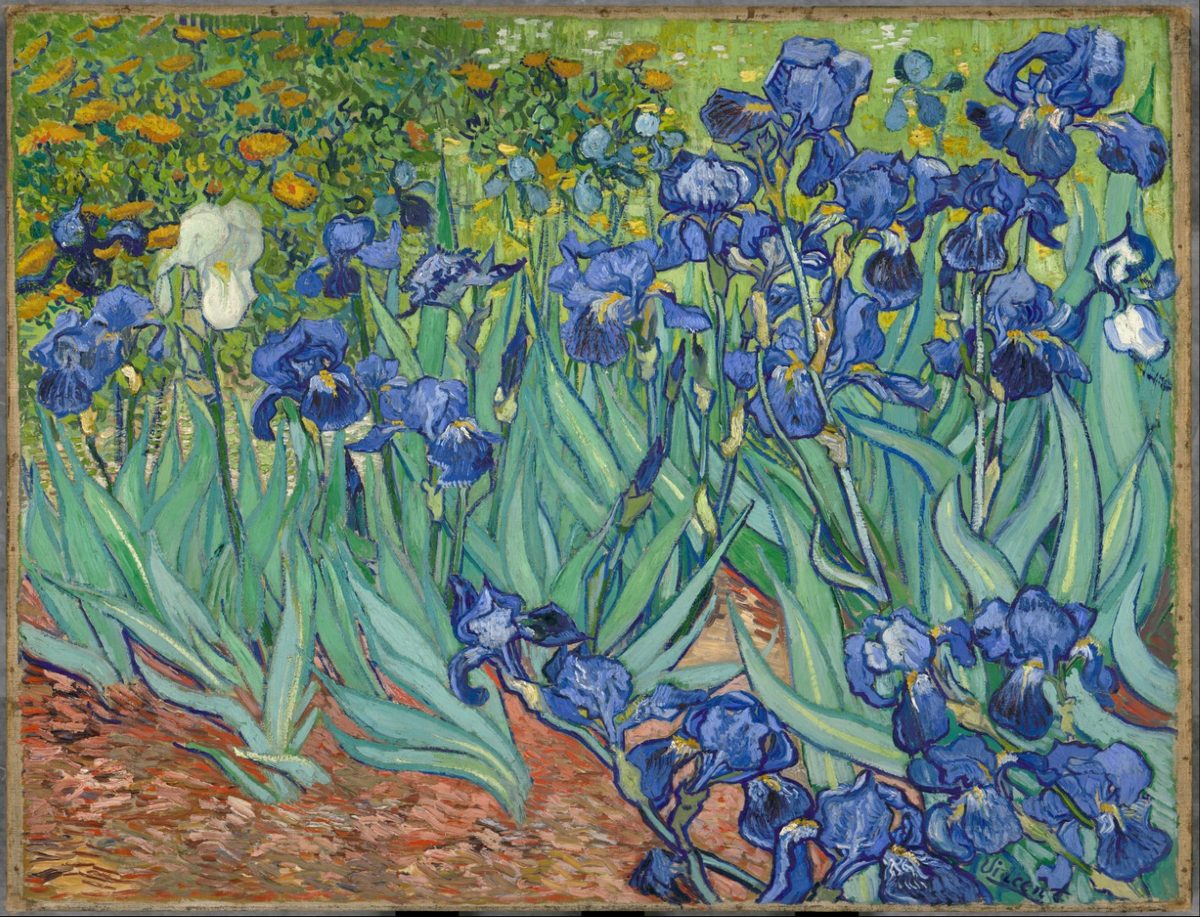 Irises-Vincent van Gogh