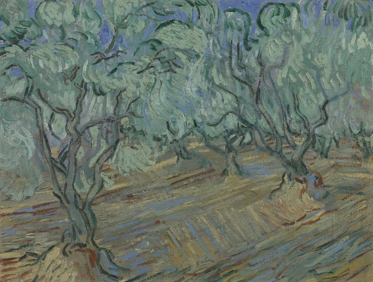 Olijfgaard - s0044V1962 - Van Gogh Museum
