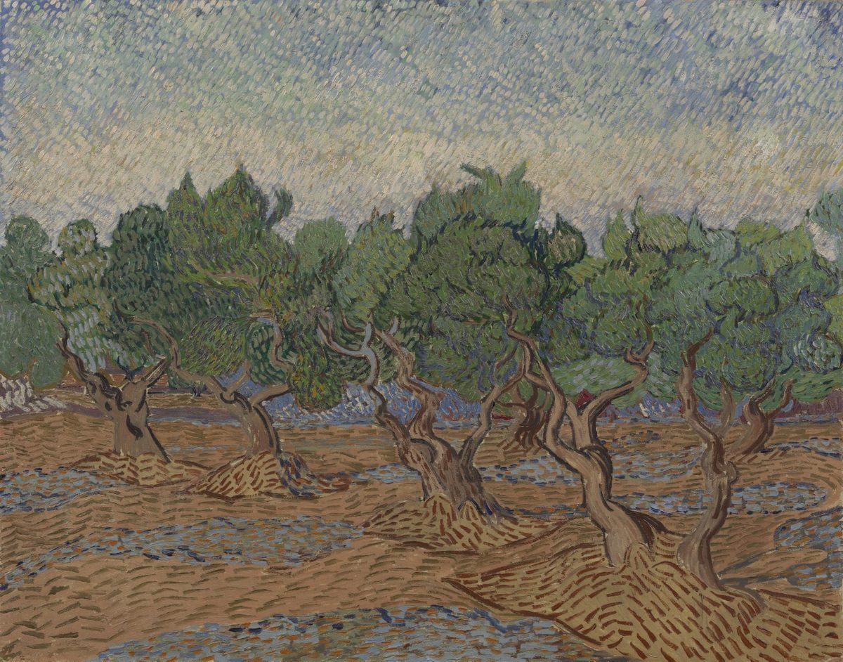 Olijfgaard - s0045V1962 - Van Gogh Museum