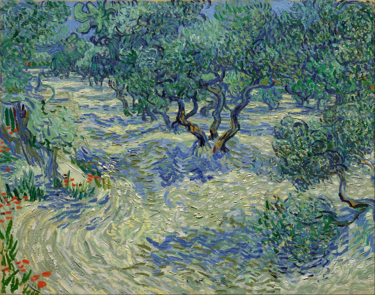 Vincent van Gogh - Olive Orchard - Google Art Project
