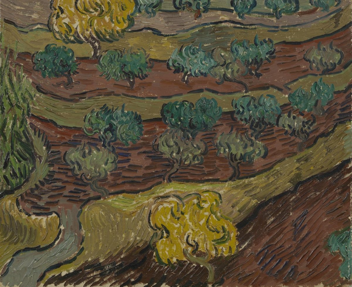 Olijfbomen op een berghelling - s0148V1962 - Van Gogh Museum