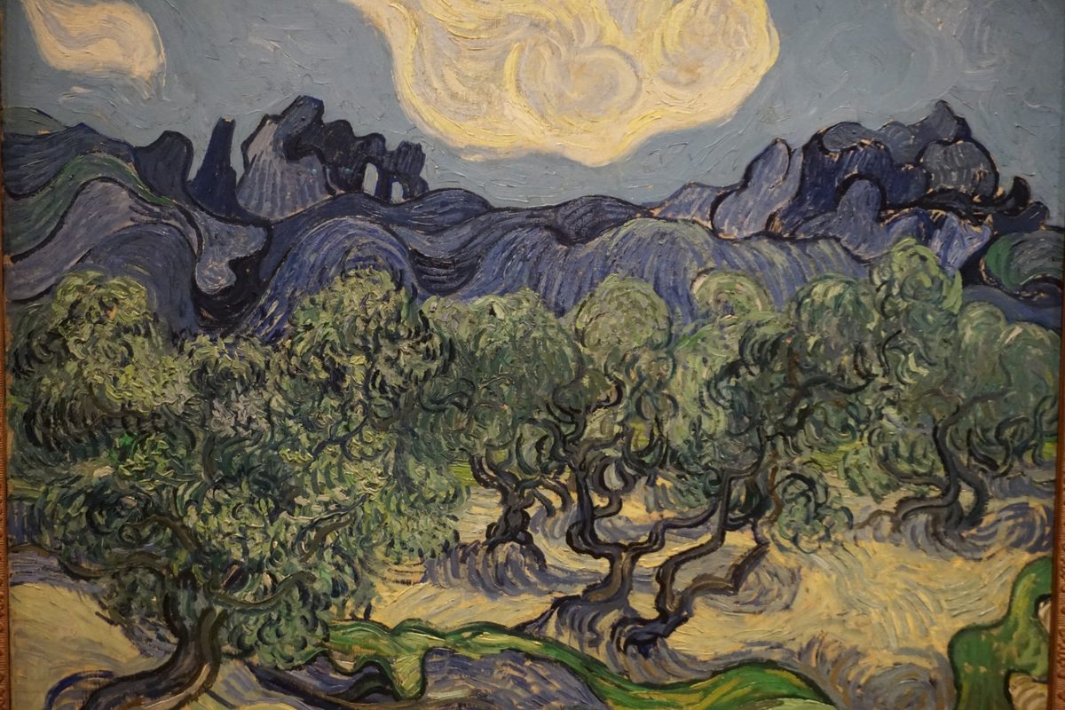 Vincent van Gogh, The Olive Trees (50413111718)