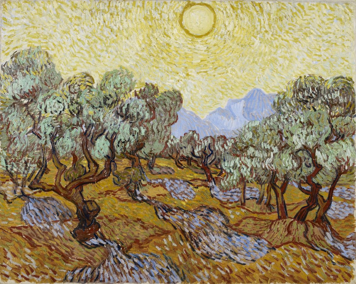 Vincent van Gogh Olive Trees MIA 517