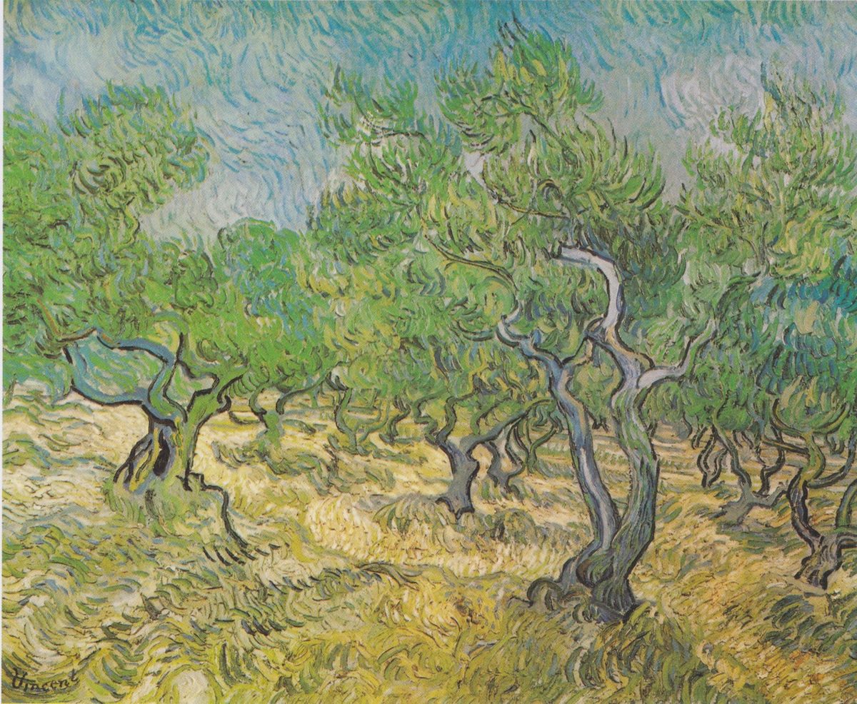 Van Gogh - Olivenhain1