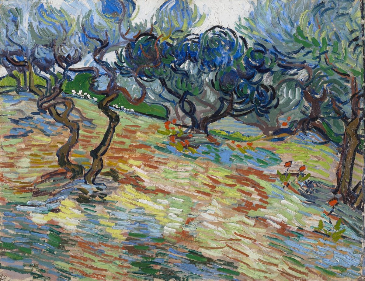 Olive Trees (Van Gogh)