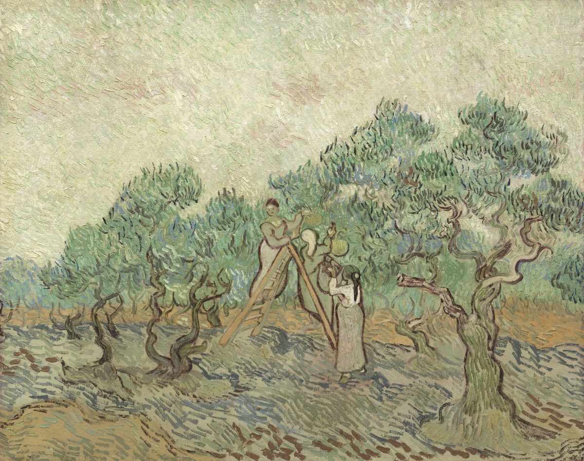 Vincent van Gogh, The Olive Orchard, 1889, NGA 46627
