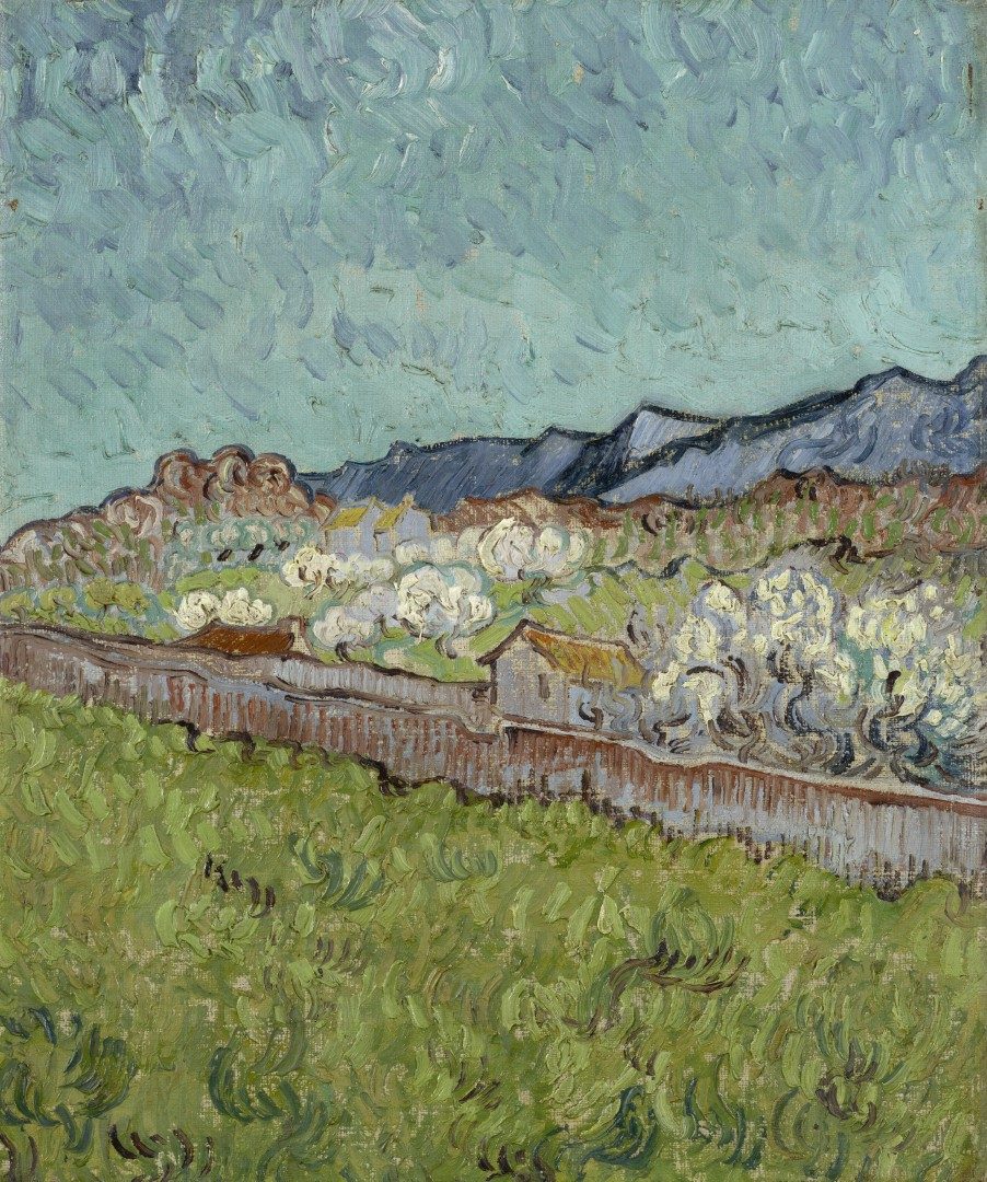 Gezicht op de Alpilles - s0417M1990 - Van Gogh Museum