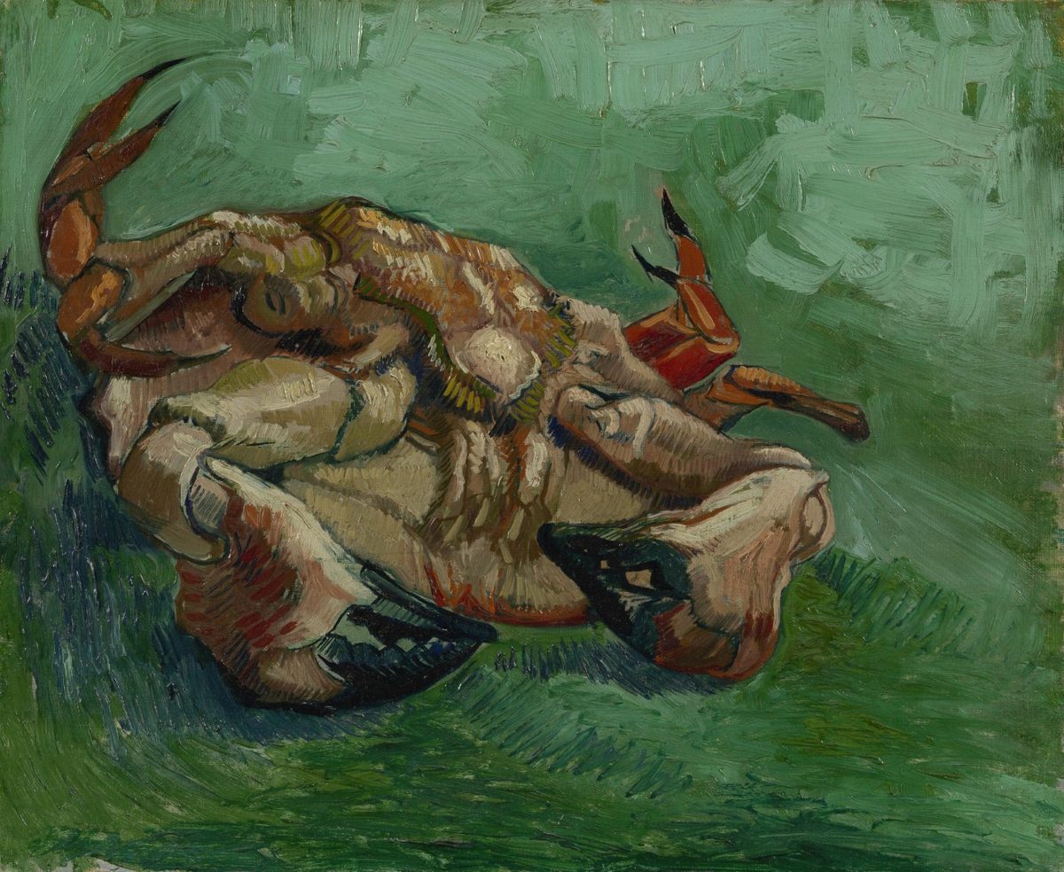 Crustacean, lying on his back by Vincent van Gogh (Van Gogh museum photograph)