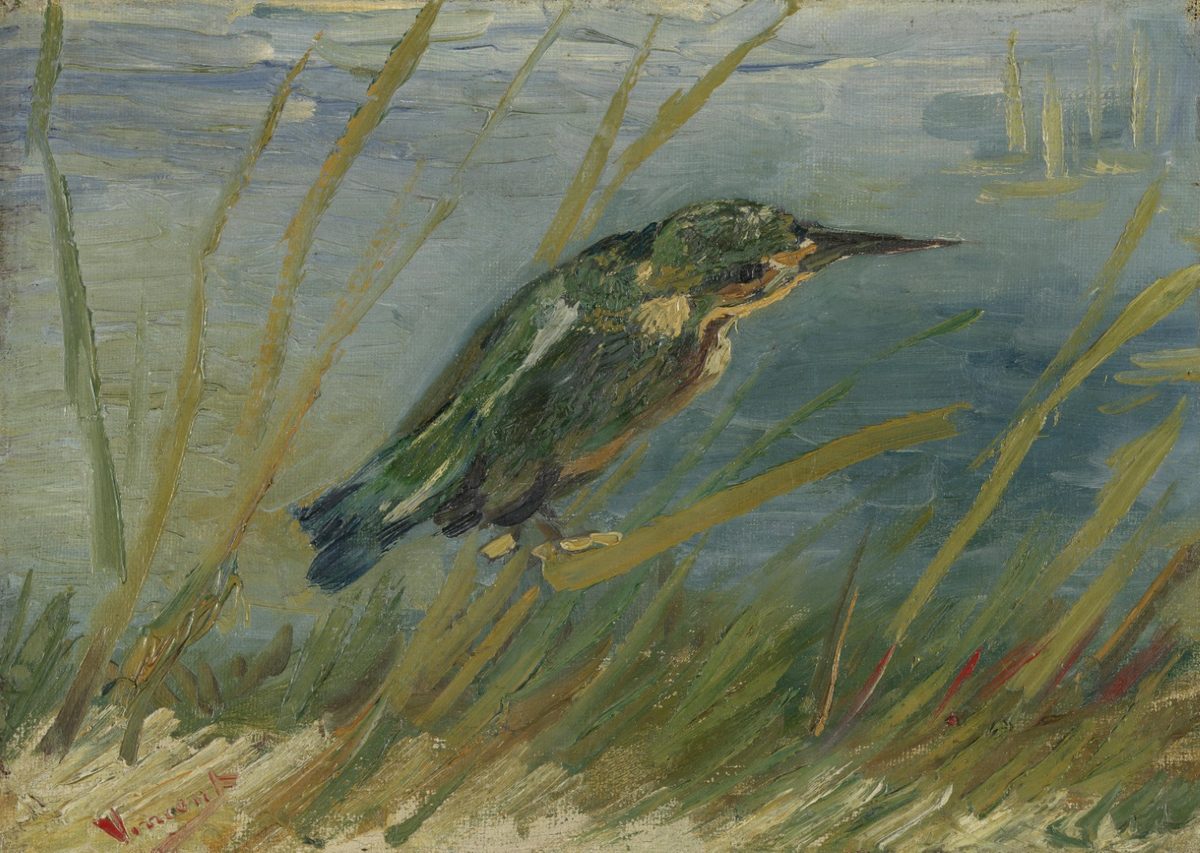 IJsvogel aan de waterkant - s0100V1962 - Van Gogh Museum