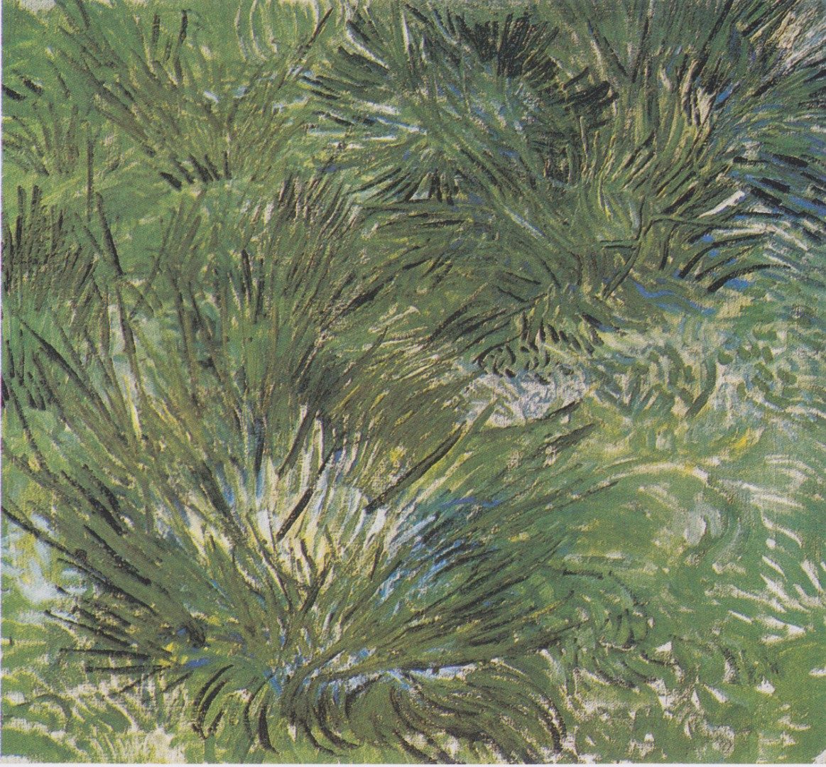 Fields of Gold & Sorrow