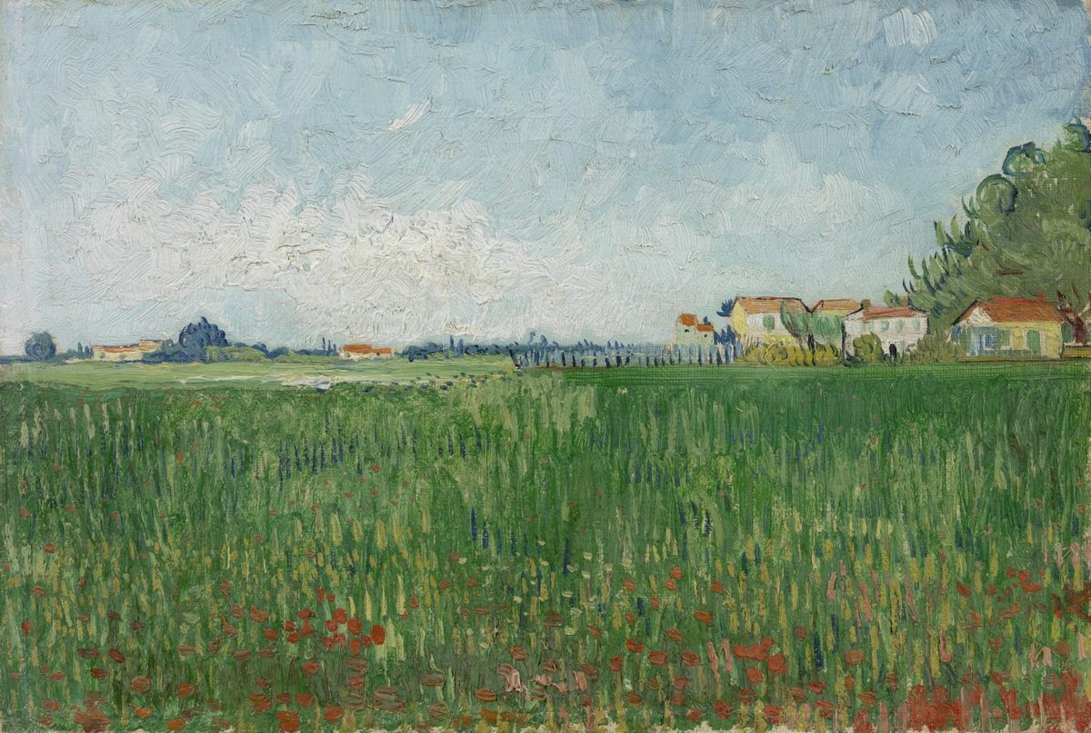 Veld met klaprozen - s0033V1962 - Van Gogh Museum